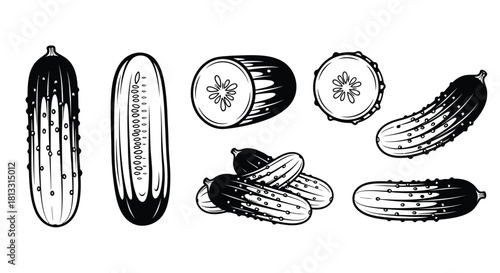 Hand drawn cucumber set isolated on white background in black and white