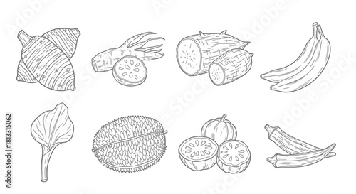 Hand drawn sketch of asian vegetables and fruits isolated on white background