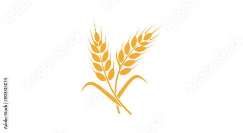 A simple golden yellow icon of two crossed stalks of wheat or barley representing agriculture harvest and healthy grains.