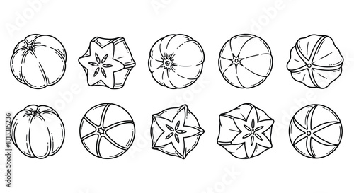 Hand drawn star fruit isolated on white background, vector illustration