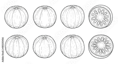 Hand drawn pomelo set isolated on white background, vector illustration