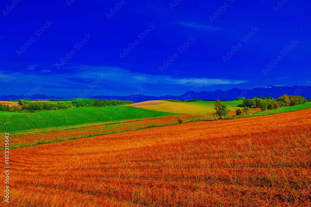 Fototapeta premium 希少な自然風景