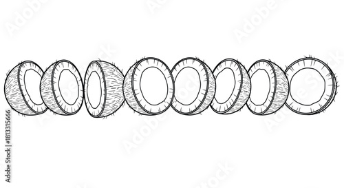 Hand drawn coconut slices isolated on white background in vector format