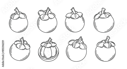 Hand drawn mangosteen fruits isolated on white background in vector format