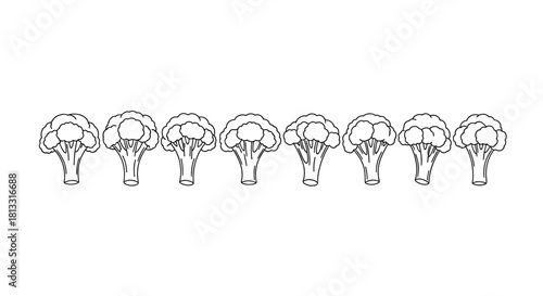 Line of broccoli heads isolated on white background in sketch style