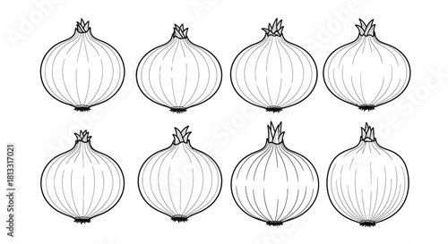 Hand drawn onion set isolated on white background for design element