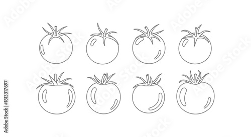 Hand drawn tomato isolated on white background, vector illustration
