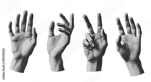 Hand Gestures: Diverse Communication in Monochrome
