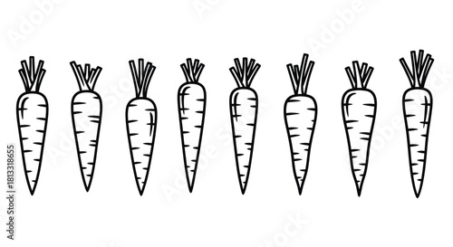 Hand drawn carrots isolated on white background, healthy and fresh food