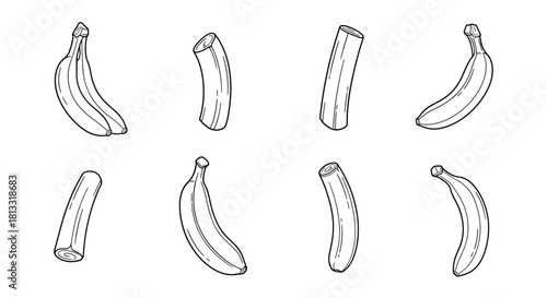 Hand drawn banana set isolated on white background, tropical fruit vector