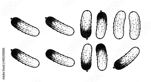 Hand drawn cucumbers set isolated on white background in black and white