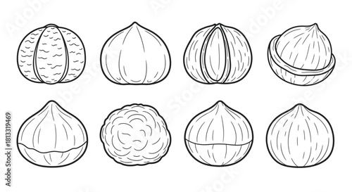 Set of chestnuts isolated on white background in various orientations