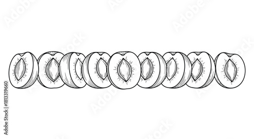 Row of ten halved plums isolated on white background in black outline style