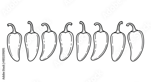 Hand drawn jalapeno pepper set isolated on white background for design needs