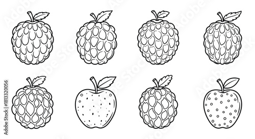 Collection of hand drawn custard apple fruits isolated on white background