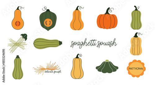 A collection of various types of squash, including spaghetti squash, butternut squash, and acorn squash, in a cartoon style.