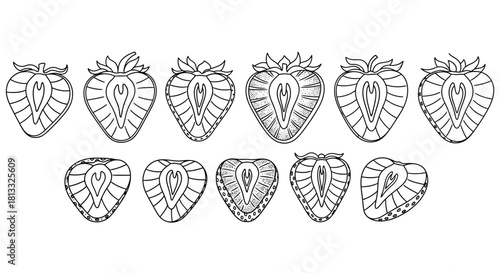 Strawberry outline drawing, a group of halved berries isolated on white background