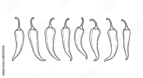 Hand drawn chili peppers isolated on white background in a row vector