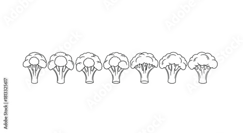 Hand drawn broccoli set isolated on white background, vector illustration