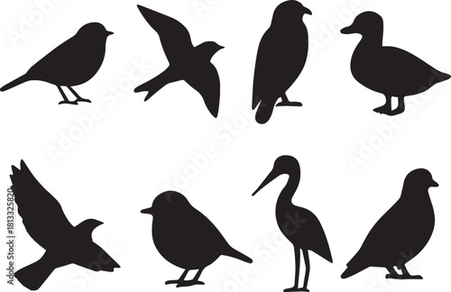 Flying and Standing Bird Shapes vector