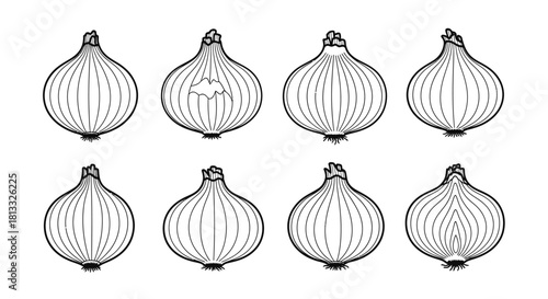 Hand drawn onion set isolated on white background for design element