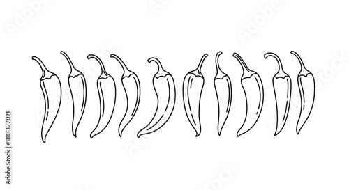 Chili pepper isolated on white background, spicy ingredient line drawing