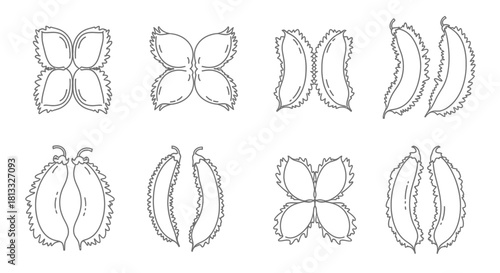 Hand drawn illustration of durian isolated on white background