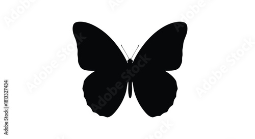 Abstract geometric silhouette design with vibrant color accents and typographic elements silhouette