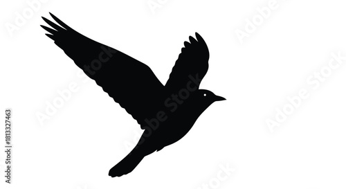 Abstract geometric silhouette design with vibrant color accents and bold typography