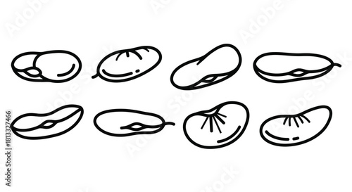 Hand drawn beans isolated on white background in a row vector