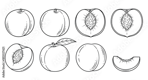 Hand drawn peach set isolated on white background, vector illustration