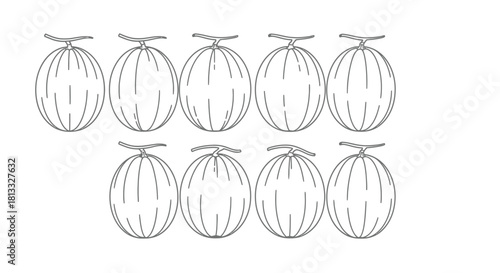 Group of cantaloupe melons isolated on white background in black and white