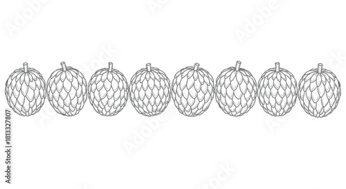 Hand drawn vector illustration of sugar apples isolated on white background