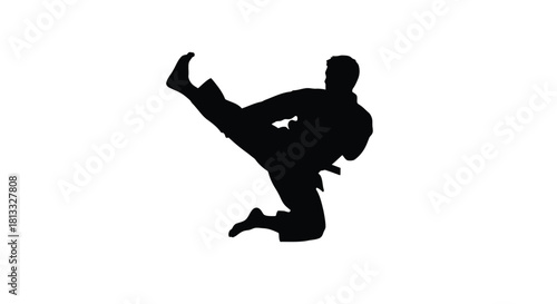 Abstract geometric silhouette design with vibrant color accents and typographic elements