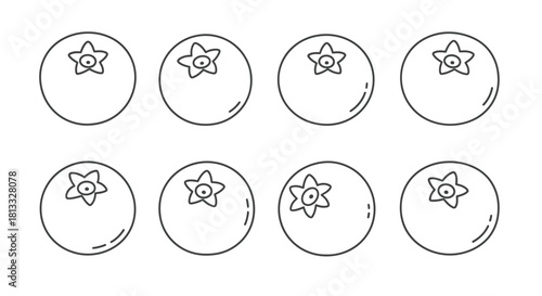Set of eight blueberry icons isolated on white background in outline style