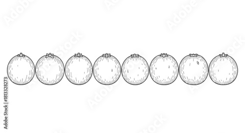 Hand drawn illustration of blueberry isolated on white background