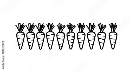 Illustration of a row of carrots isolated on white background in black lines