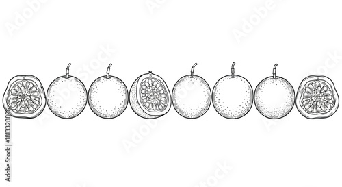 Row of seven hand drawn passion fruits and slices isolated on white background