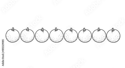 Row of eight oranges isolated on white background in black and white style