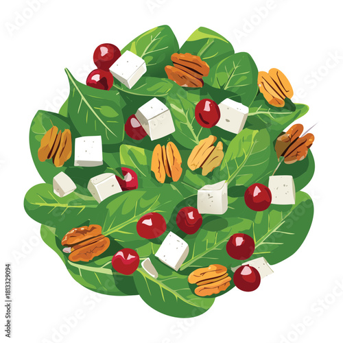 Top View of a Vibrant Healthy Salad featuring Arugula, Feta Cheese, Pecans, and Cranberries with a Light Dressing for an Appetizing Meal - Vector Illustration