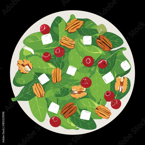 Delicious Fresh Green Salad with Creamy Feta Cheese, Chopped Pecans, and Tart Cranberries for a Wholesome and Healthy Side Dish - Vector Illustration