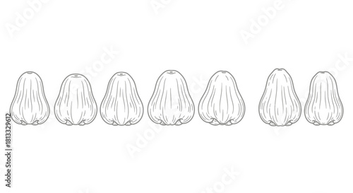 Hand drawn sketch of rose apple fruits isolated on white background