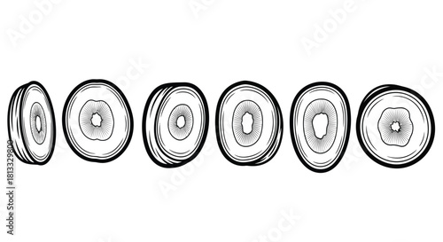 Hand drawn sketch of sliced avocado isolated on white background