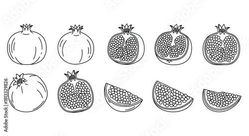 Hand drawn pomegranate set isolated on white background for design element