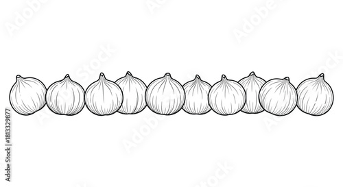 Hand drawn illustration of shallots isolated on white background, vector