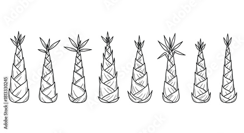 Hand drawn bamboo shoots isolated on white background, vector illustration