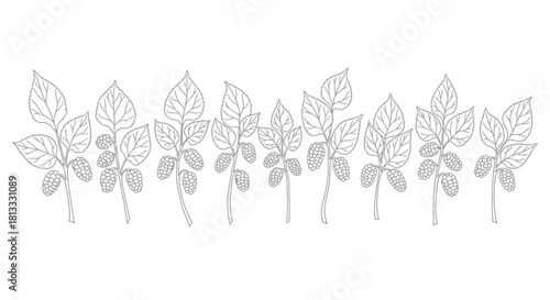 Hand drawn hop branch border isolated on white background, vector illustration