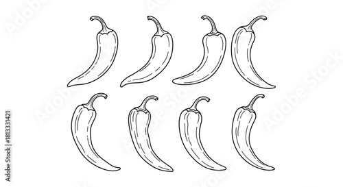 Hand drawn set of chili peppers isolated on white background illustration
