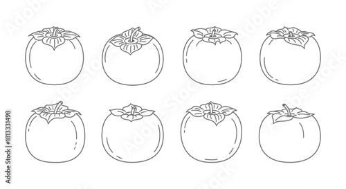 Hand drawn persimmon fruit illustration isolated on white background