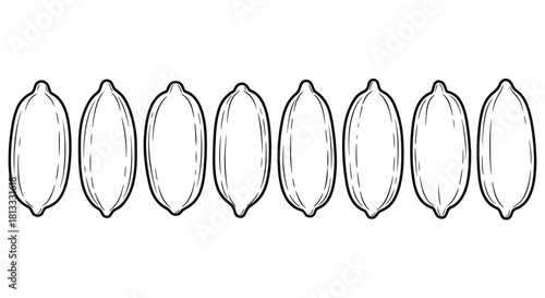 Line of peanuts isolated on white background, a nutritious and tasty treat